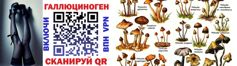 Псилоцибиновые грибы MAGIC MUSHROOMS  даркнет сайт  Сургут 