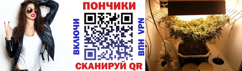 купить  цена  Сургут  даркнет официальный сайт  МАРИХУАНА Bruce Banner 